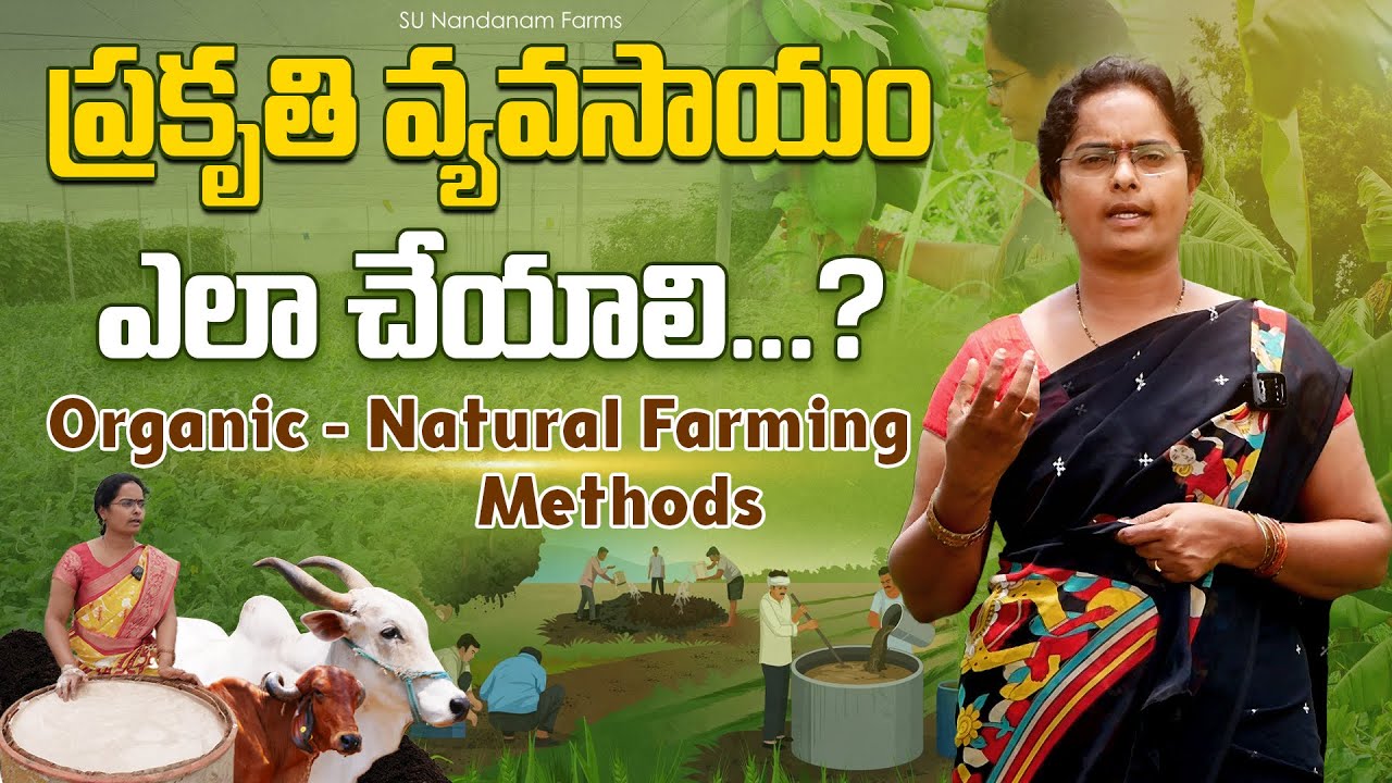 Organic Farming Benefits in Telugu | సేంద్రియ వ్యవసాయం వల్ల రైతులకు కలిగే లాభాలు #organicfarming