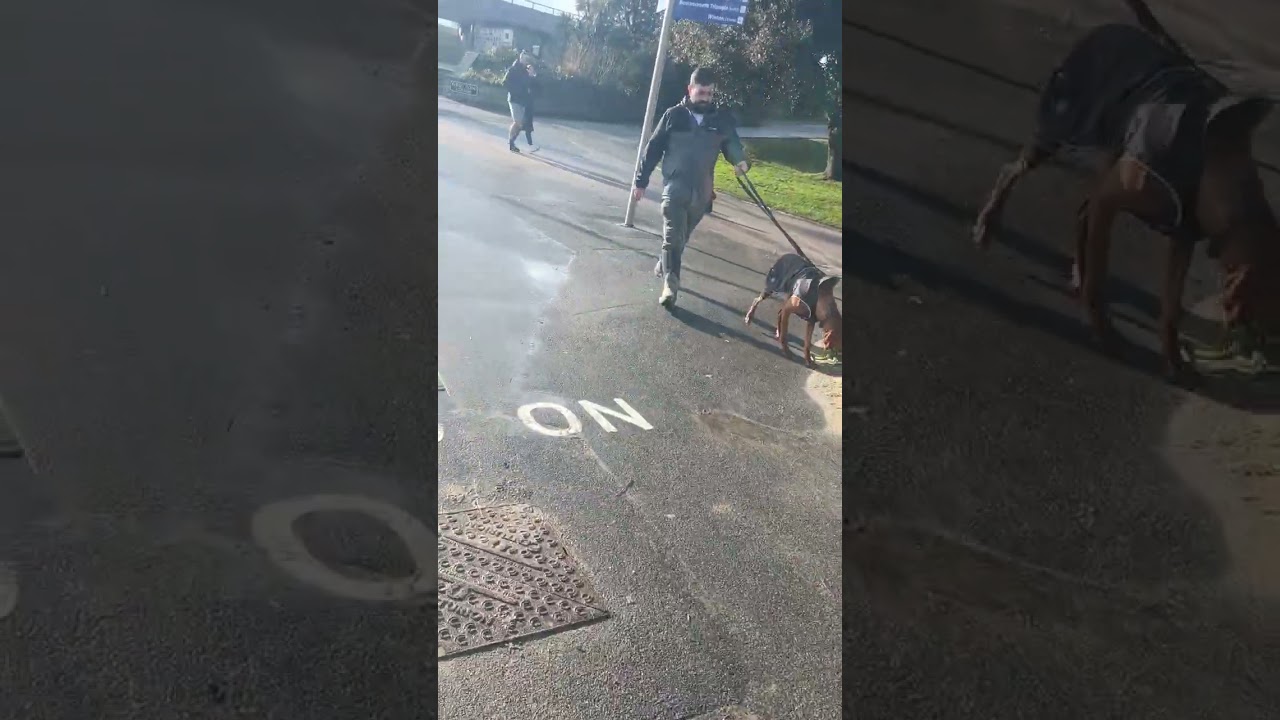 Bournemouth Vlog 31st January 2026