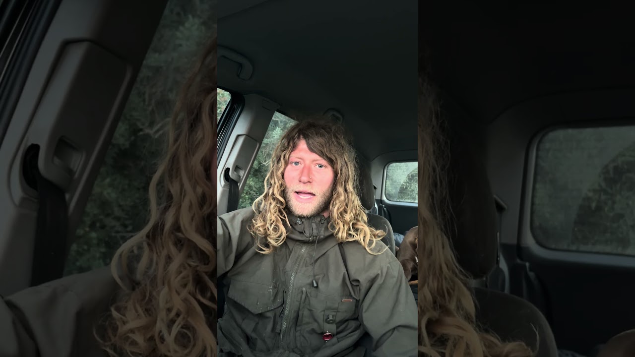 #бездомные