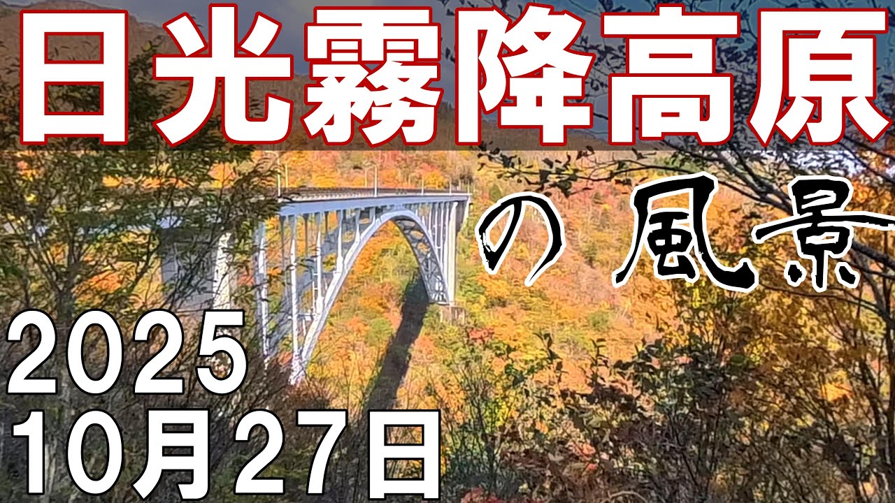 日光霧降高原の風景 （ 栃木県 観光 紅葉 絶景 ドライブ 日光 霧降高原 大笹牧場 Nikko Kirifuri Tochigi Autumn Foliage Scenery JAPAN ）
