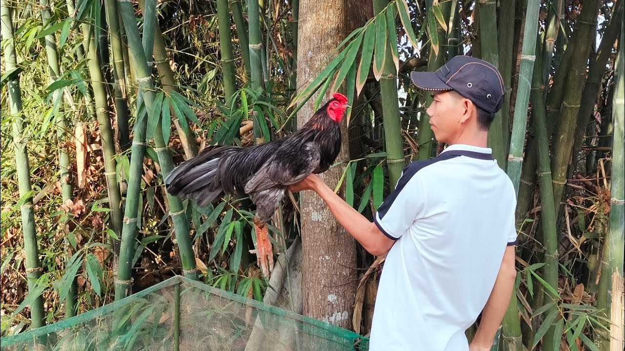 29/1 Tóp Giỏi Anh Em Xem Vui./ Châu Vĩnh Long. 09.78.14.30.74