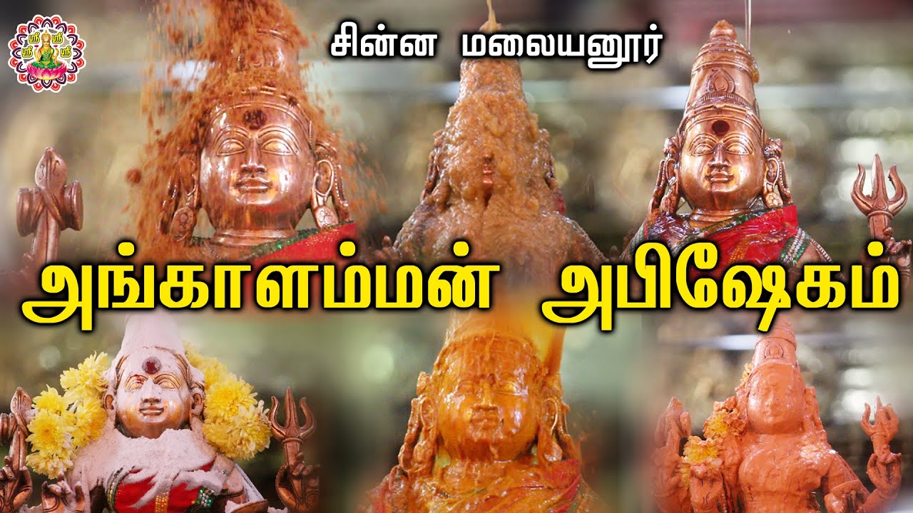 அங்காளம்மன் மஹா அபிஷேக காட்சி | Angalamman Abhishekam | 112வது வருட மயான சூறை மாசி திருவிழா | Shree