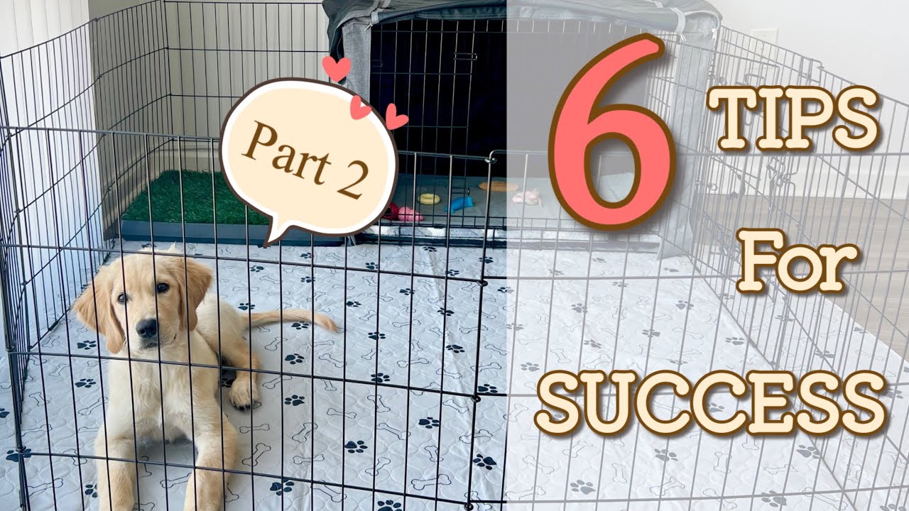 How to Crate Train a Puppy ② DIY Puppy Play Area