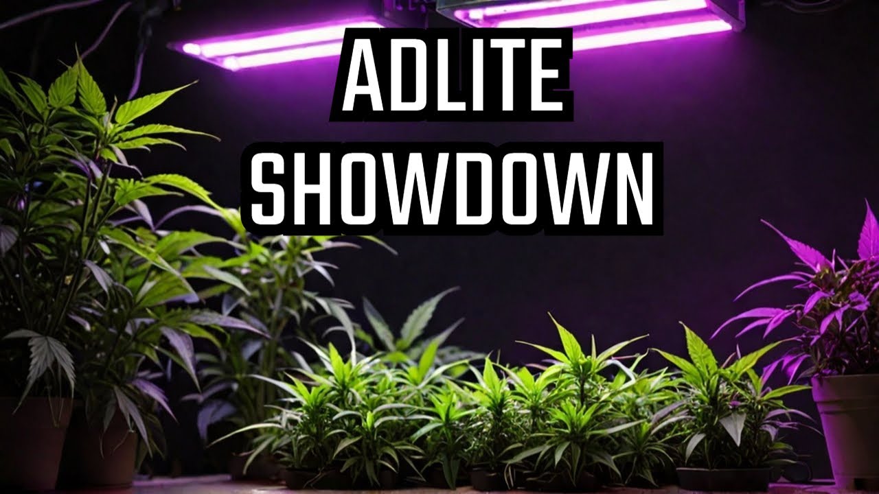Mars Hydro ADLITE Grow Light Faceoff for Indoor Cannabis
