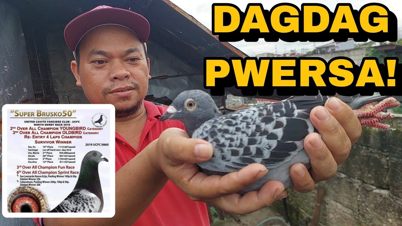 LINYADANG SUPER SPEED NA MAY DULO!BRUSKO LINE DAGDAG PWERSA SA ALARCON LOFT!