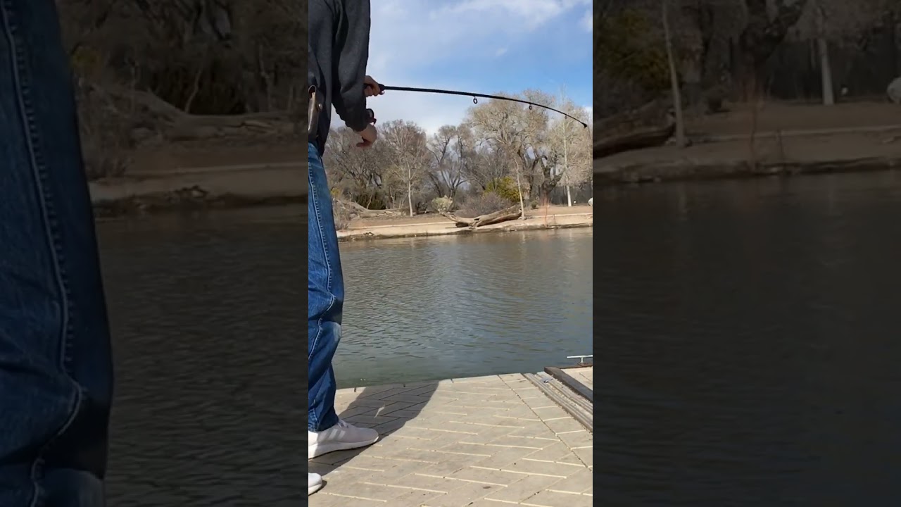 Do You Use Barbless Hooks? 