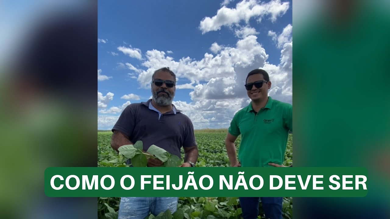 COMO O FEIJÃO NÃO DEVE SER