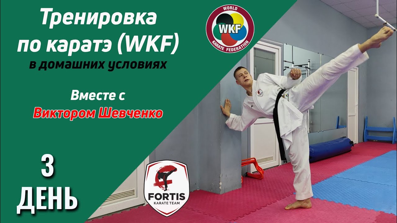 Тренировка по каратэ (WKF) в домашних условиях / День 3 / FORTIS KARATE CLUB / Виктор Шевченко