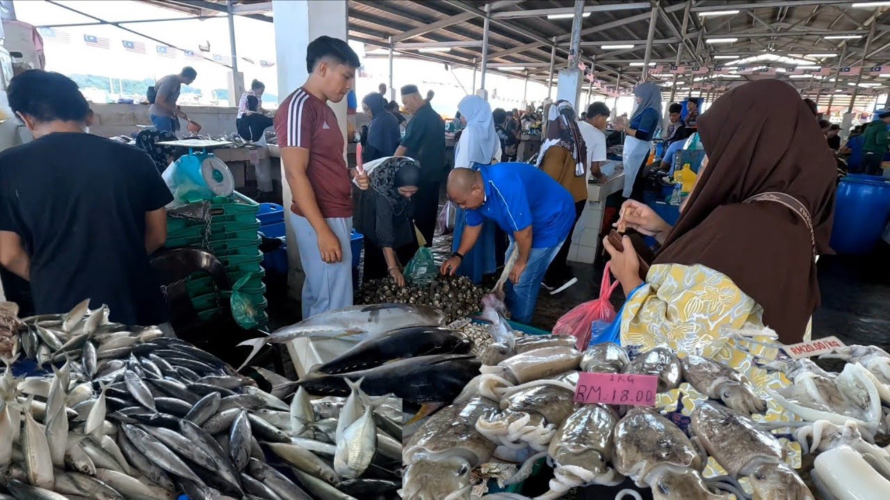 PASAR IKAN BANDARAYA KOTA KINABALU🛑SABAH UPDATE‼️