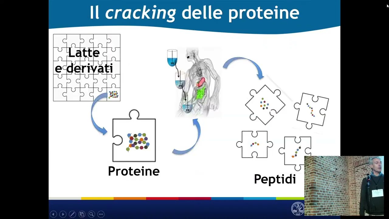 Tecnologia e nutrizione: sfide e opportunità per latte e derivati, Ivano De Noni