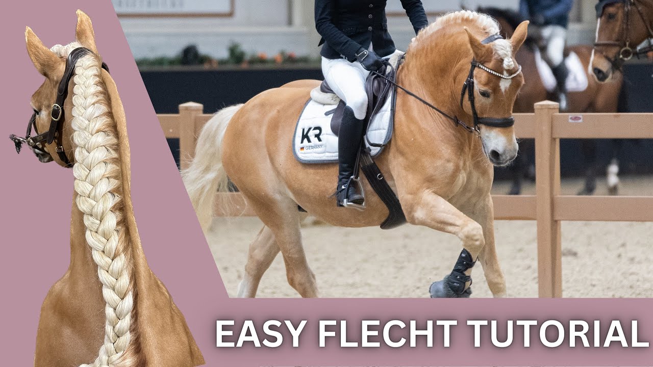 Lange Mähne flechten | Turnierfrisur | Easy Tutorial | Anja Fer