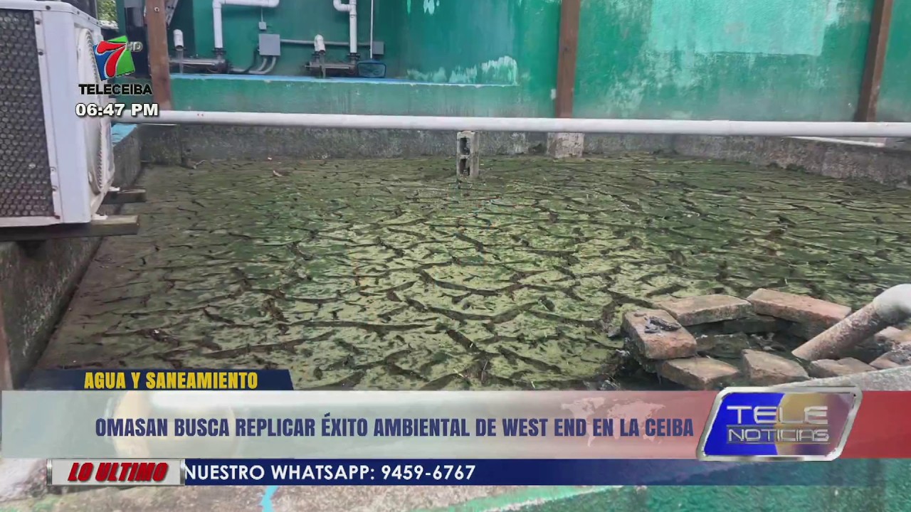 OMASAN busca replicar éxito ambiental de Roatán en La Ceiba