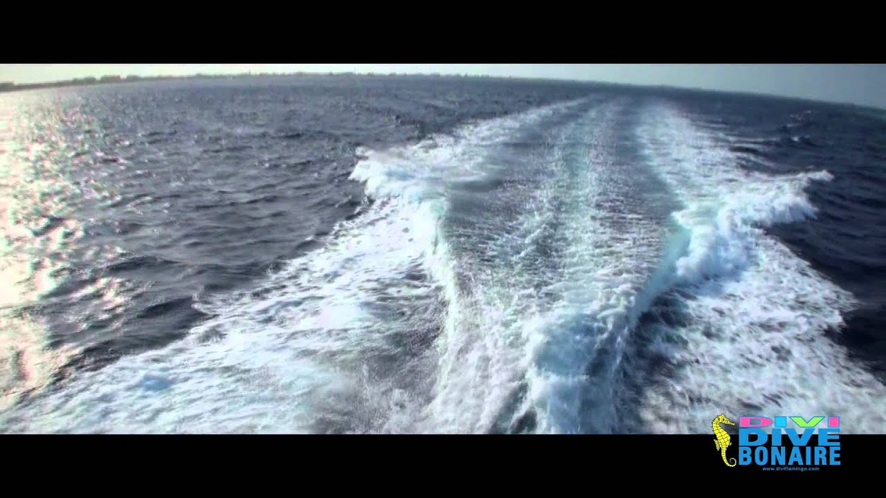 Divi Dive Bonaire - 2013