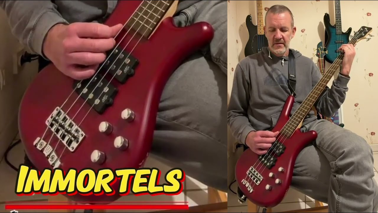 Immortels - Alain Bashung | Bass cover