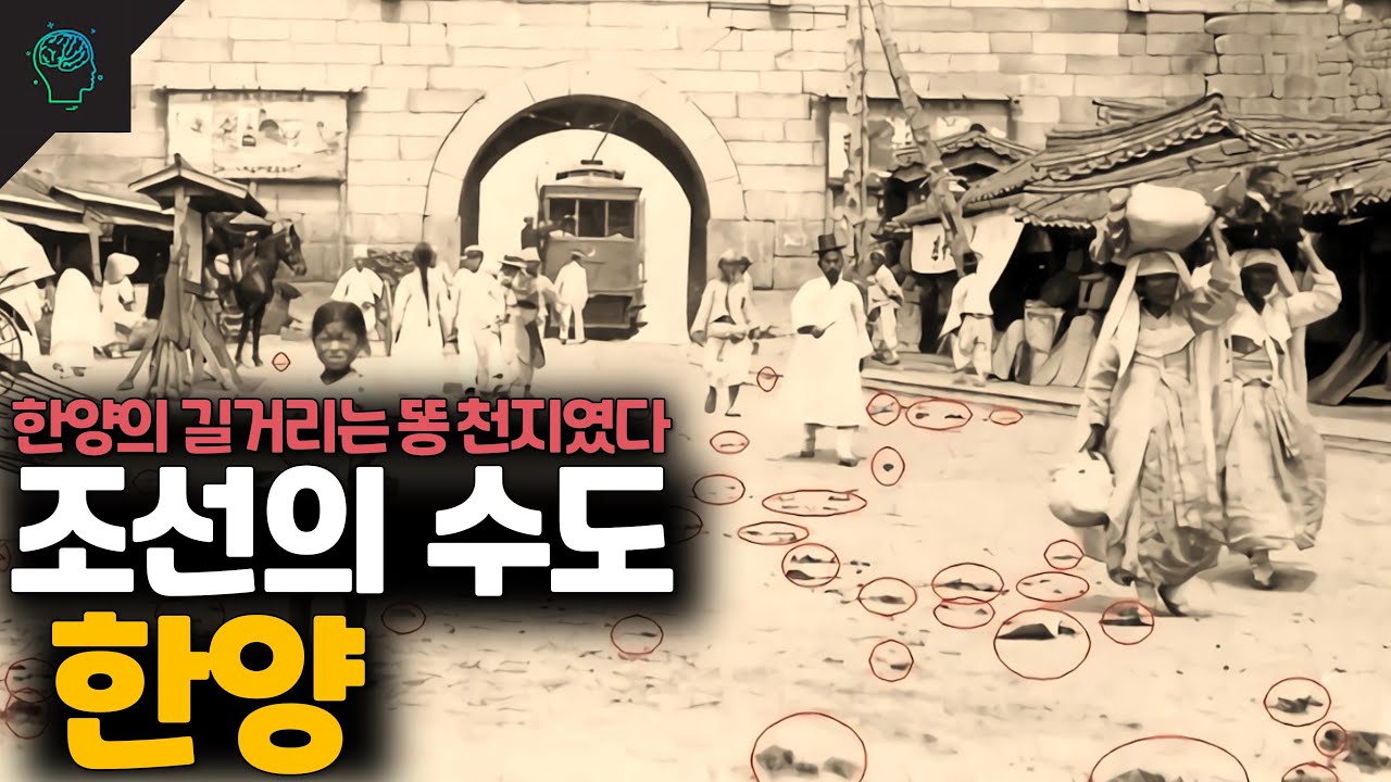 조선의 수도 한양 거리는 똥 천지였다 한양의 위생과 동시대 서양 도시들