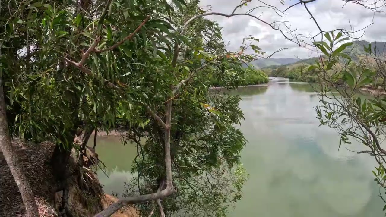 Searching for crocodiles
