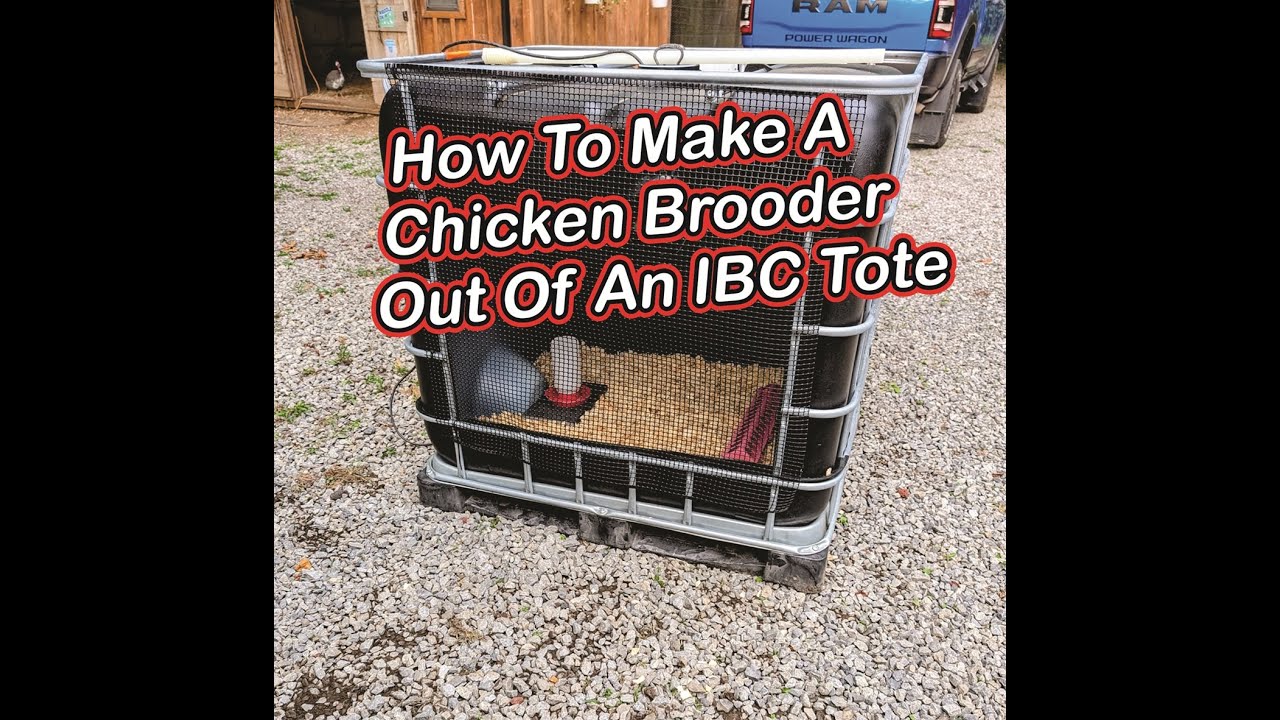 How to build a chicken brooder out of an IBC tote