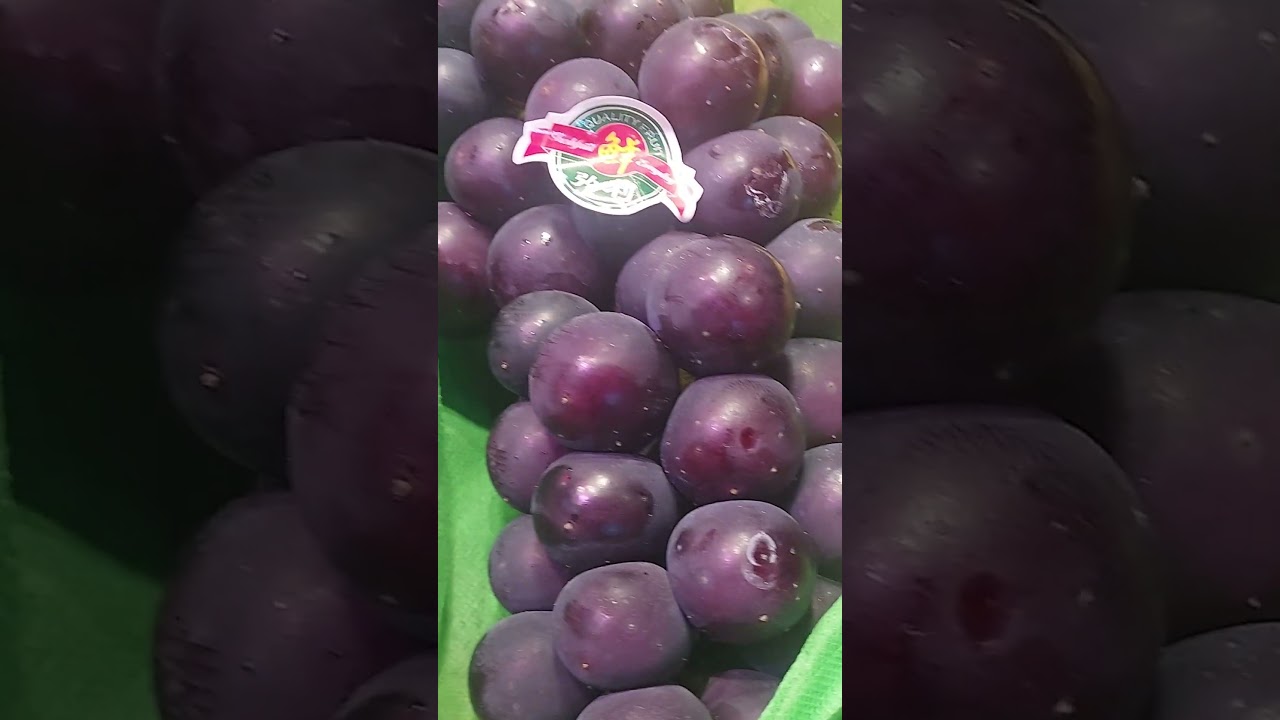 VARIETIES OF GRAPES