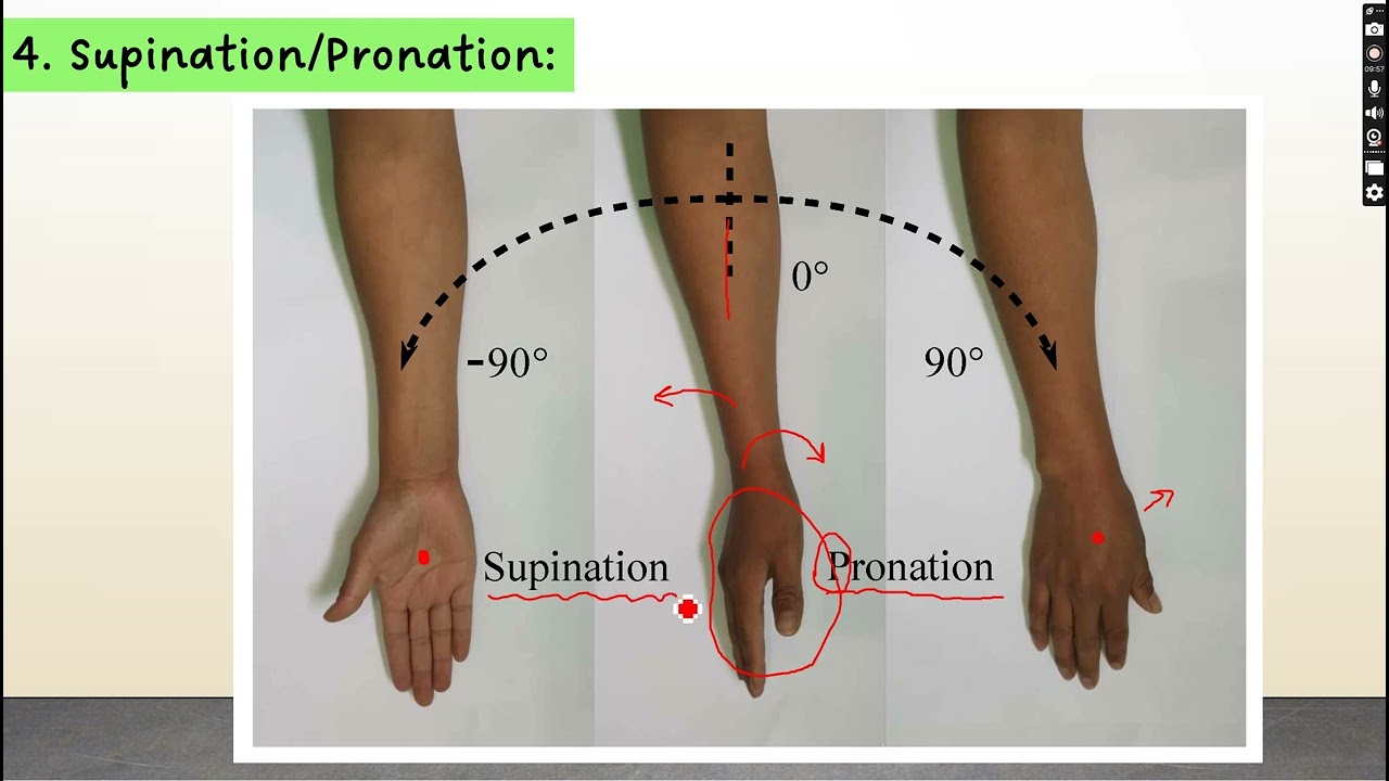 General anatomy Introduction part 4