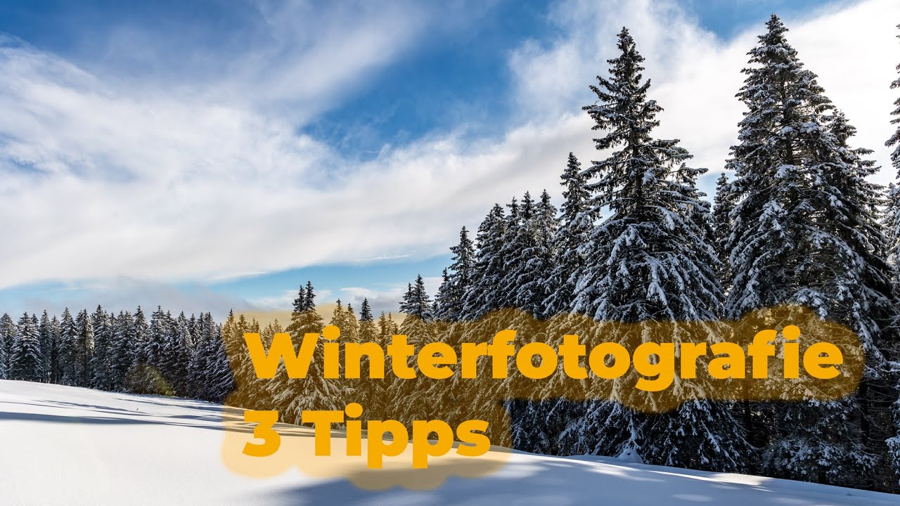 3 Tipps zur Winterfotografie von der Wiener Fotoschule