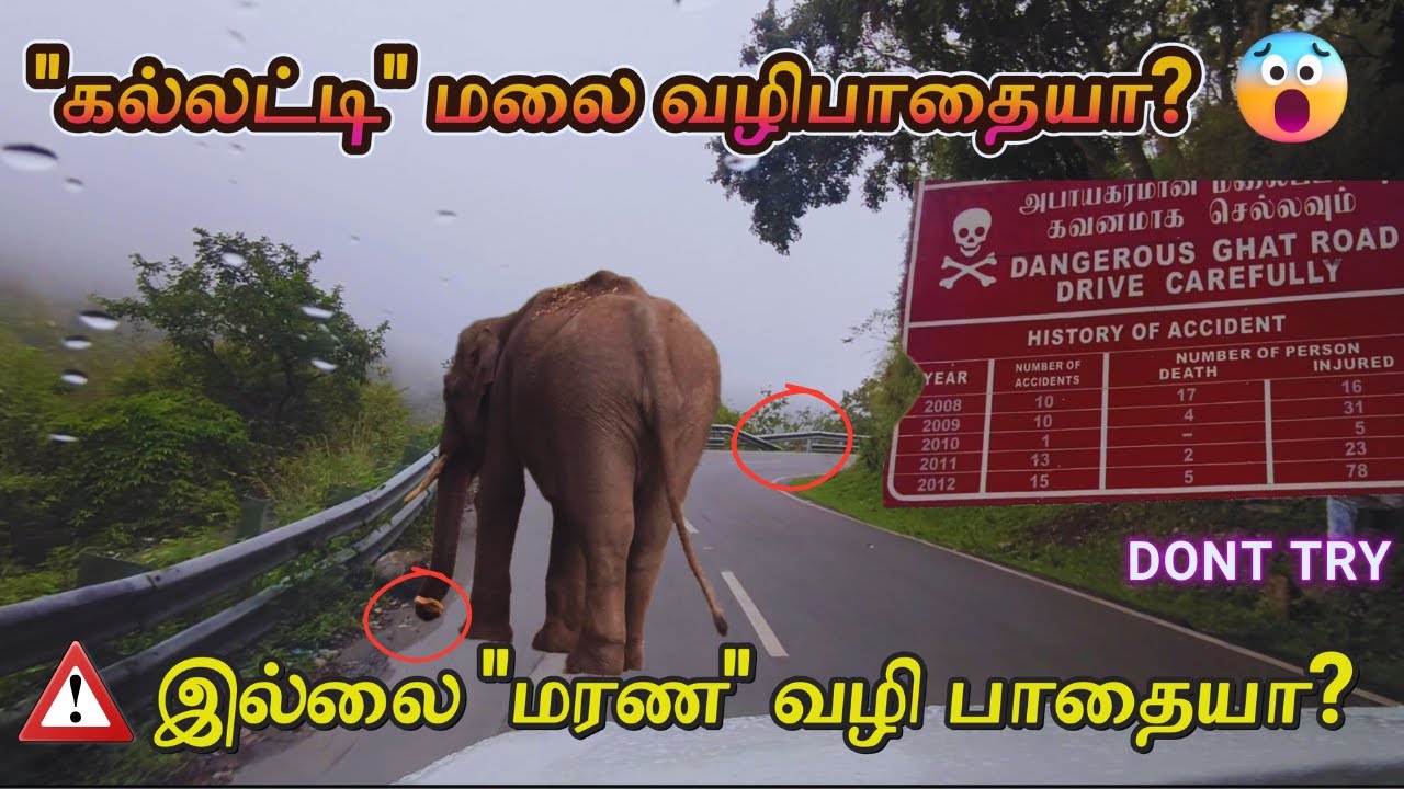  ⚡தமிழ்நாட்டின் 