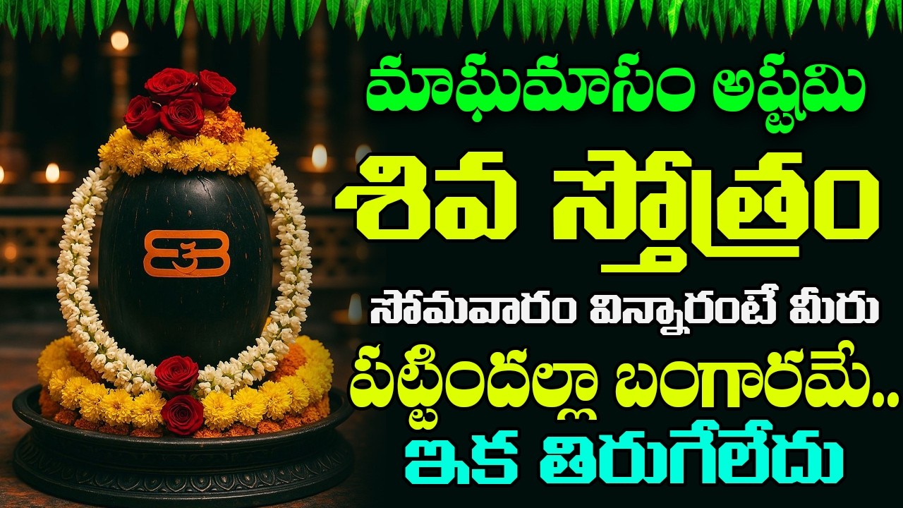 సోమవారం ఉదయాన్నే శివ స్తోత్రం విన్నారంటే మీ అప్పులన్నీ తీరి ధనవంతులు అవుతారు | Shiva Stotram