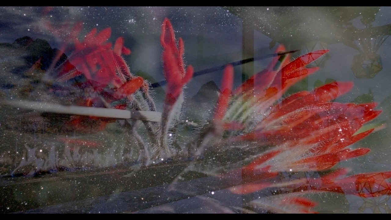 Winters Night Ambience | Fire Flower & Stars  Real Water Under Ice Sounds (No interruptions)