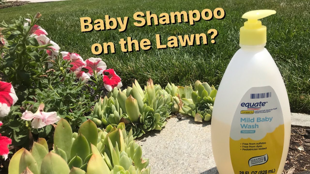 How to Apply Baby Shampoo to Your Lawn | The Benefits on Baby Shampoo in Your Lawn