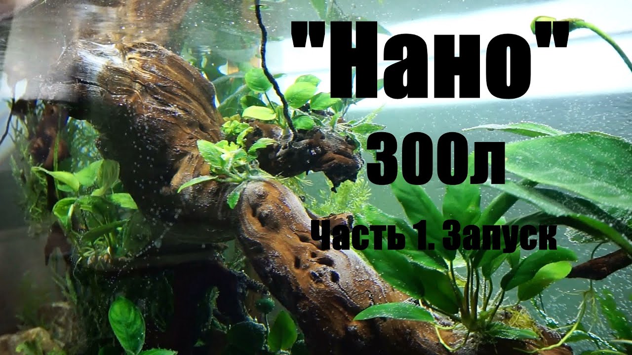 Нано аквариум-рипариум 300л (часть первая)