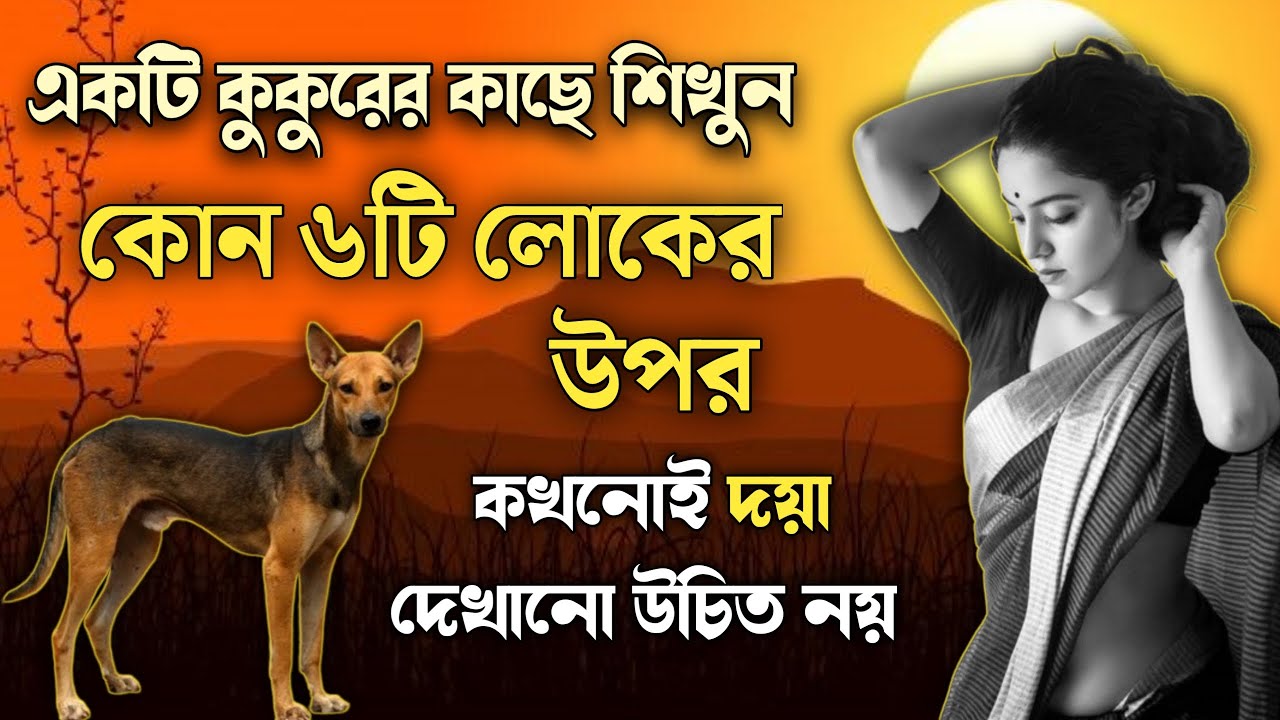 এই ৬টি লোকেদের উপর কখনোই দয়া দেখাবেন না | Knowledgeble Story | goutam buddha moral story in bangla