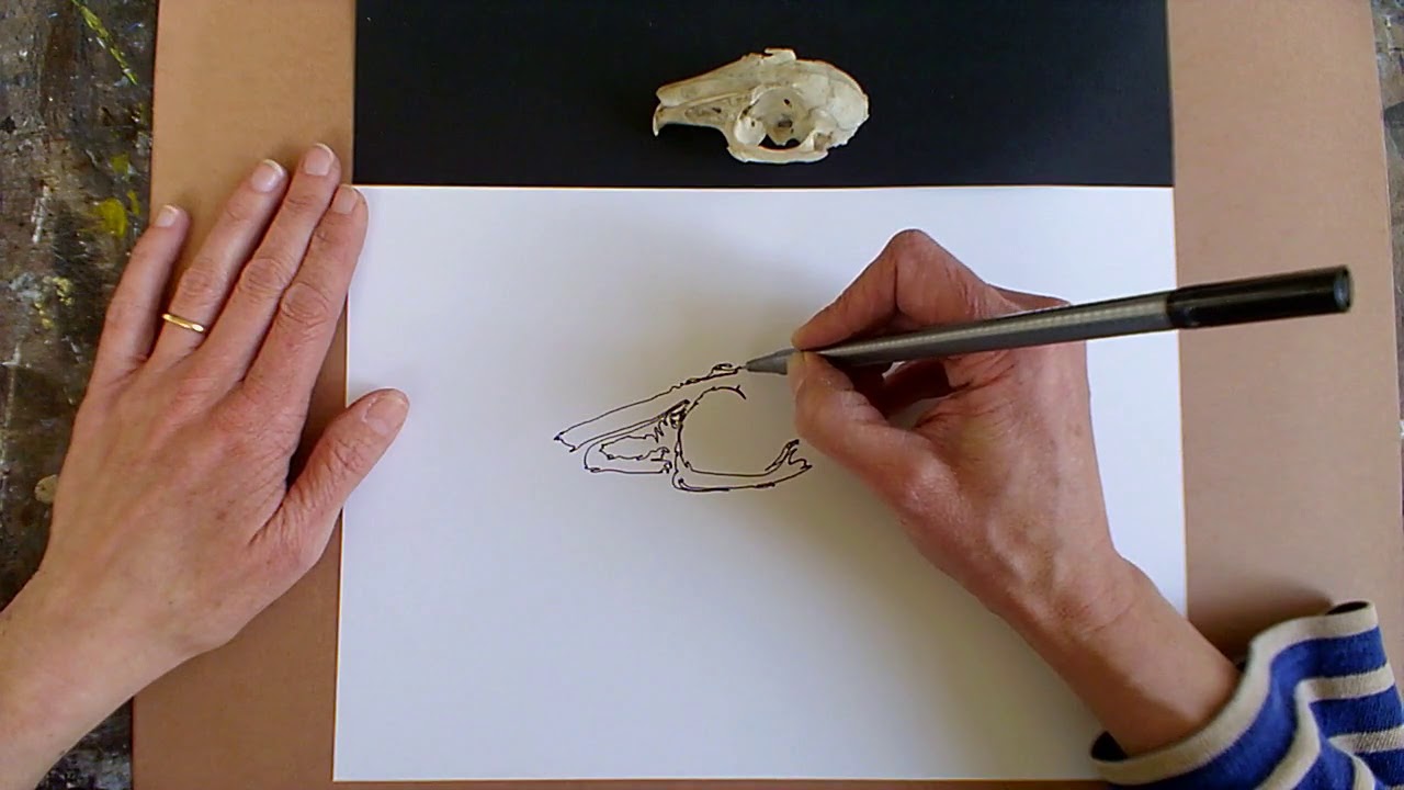 CLAYESMORE ART TUTORIAL - CONTINUOUS LINE RABBIT SKULL