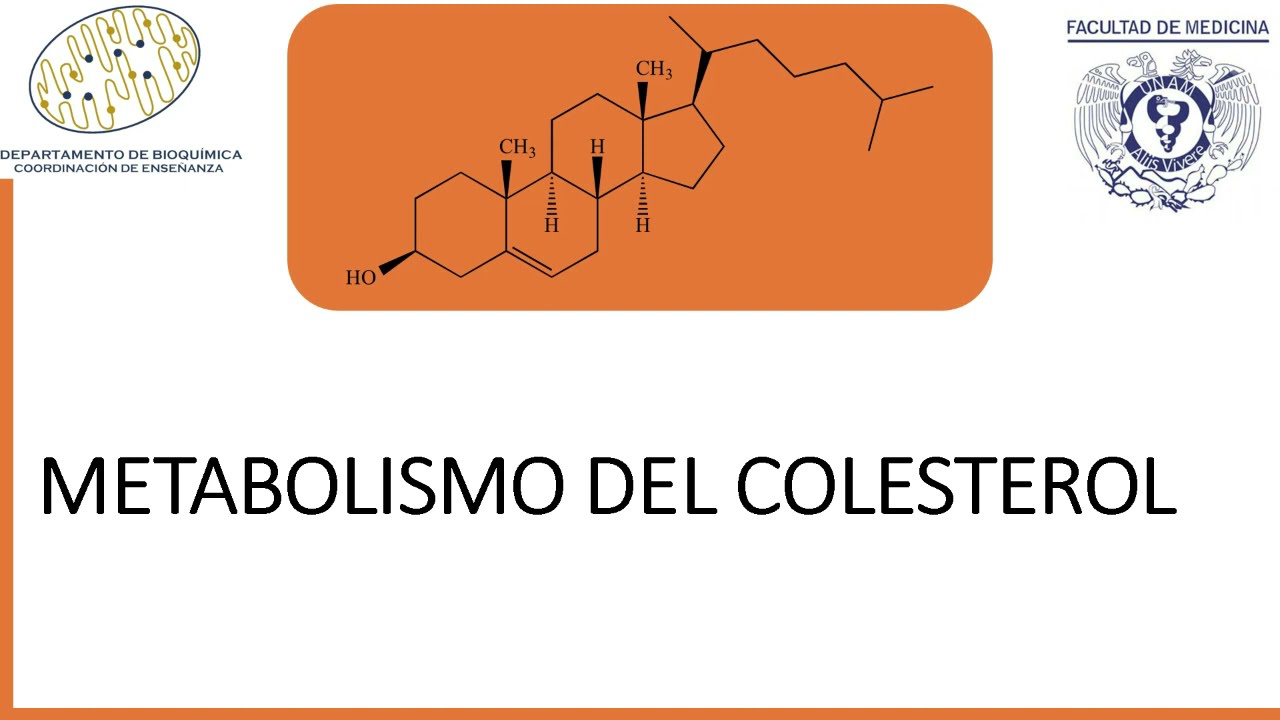 Metabolismo del colesterol