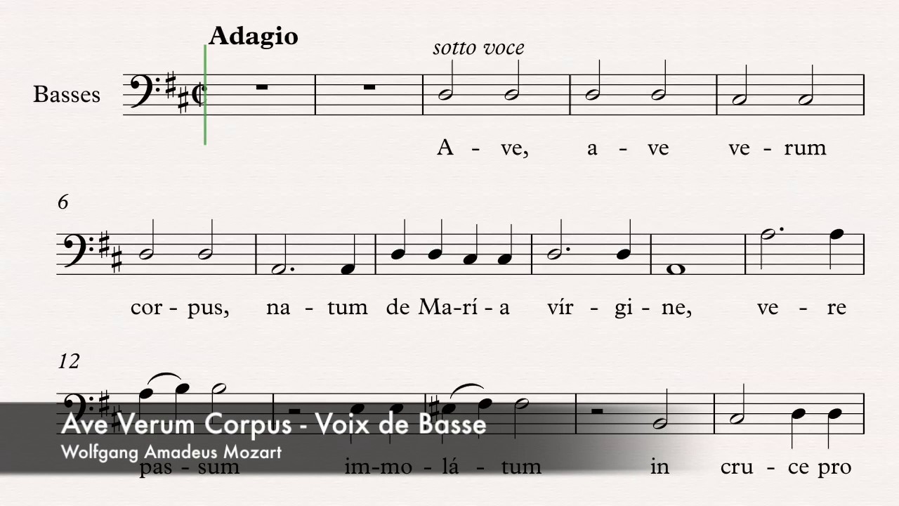 Mozart, Wolfgang Amadeus - Ave Verum Corpus - Guide voix - Basse