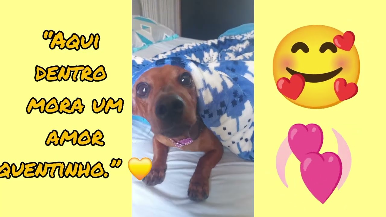 🍿 “Compilado da Mel: Fofura em Dose Máxima!”