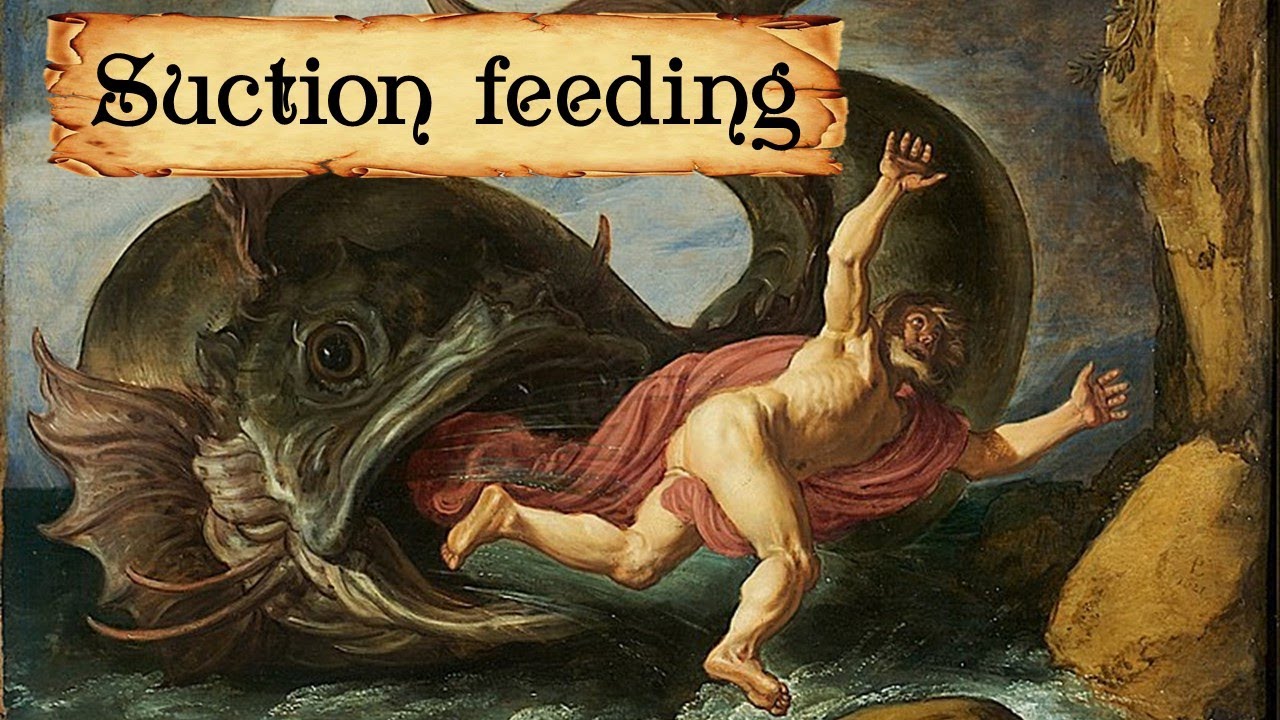 Suction feeding