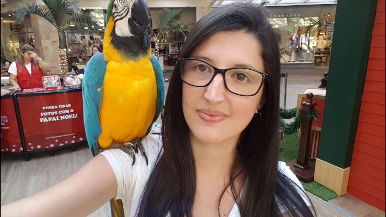 Passeio no shopping com Andre - Arara Canindé