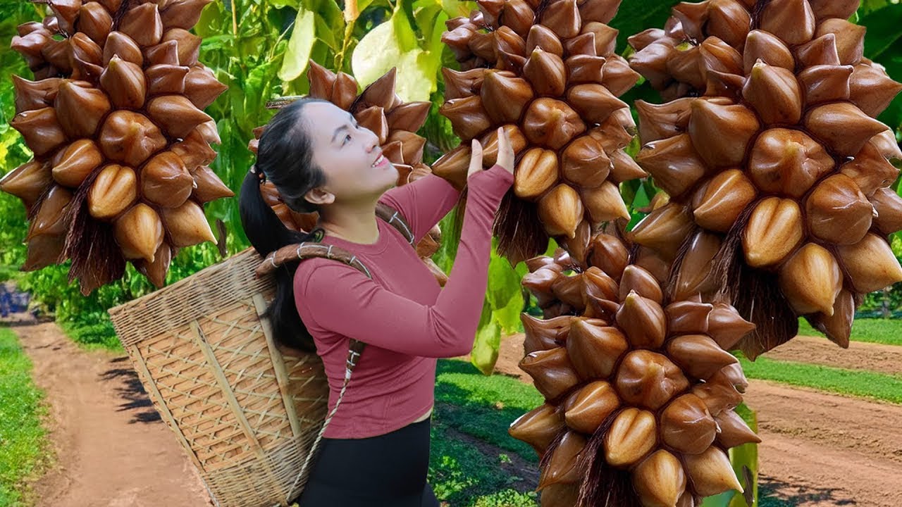 Harvesting Nipa Palm, Fruits & Cooking Foods - Daily Vlog | Emma Daily Life