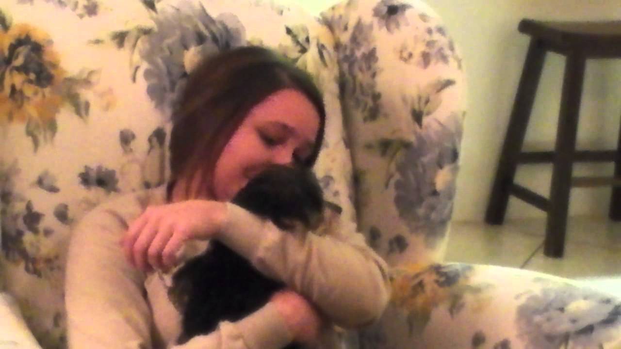 Chelsea's Puppy Surprise