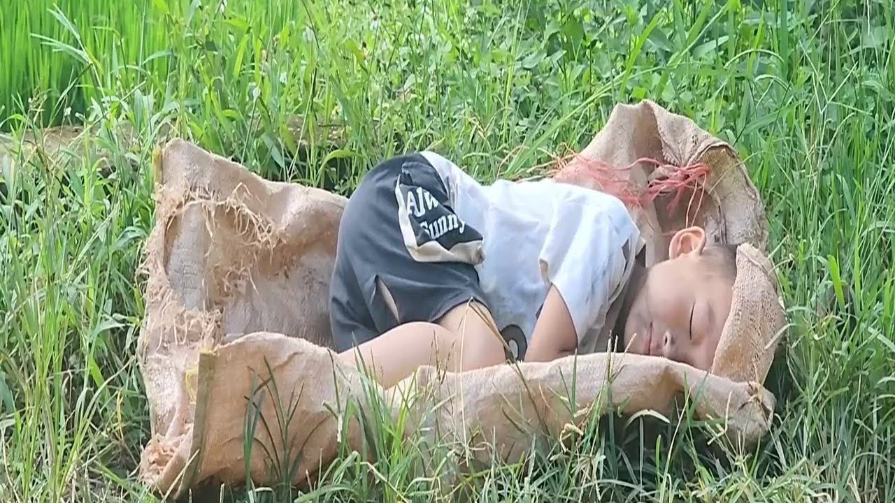 Kind Single Mother Saves a Baby on the Side ofthe Road - The Truth Behind Will Shock