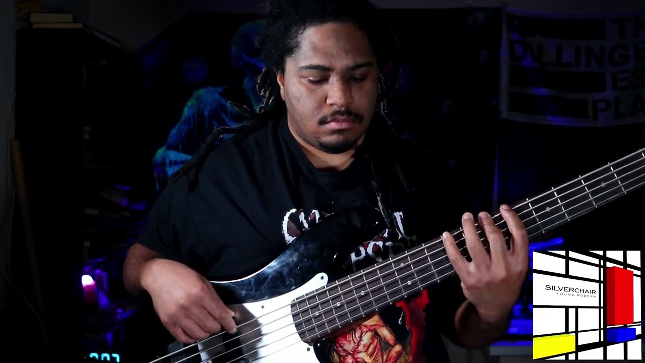 Those Thieving Birds (Silverchair) bass cover