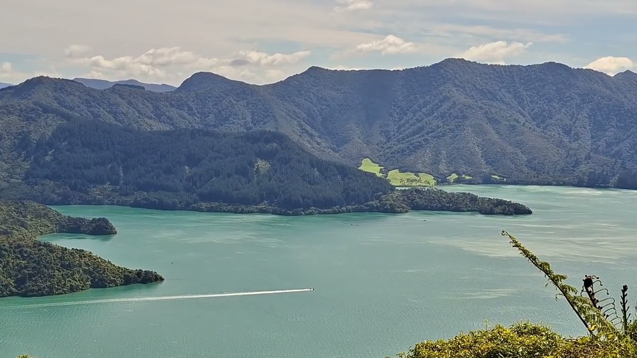 Queen Charlotte Track (Torea Saddle - Shamrock Ridge) at Portage Bay