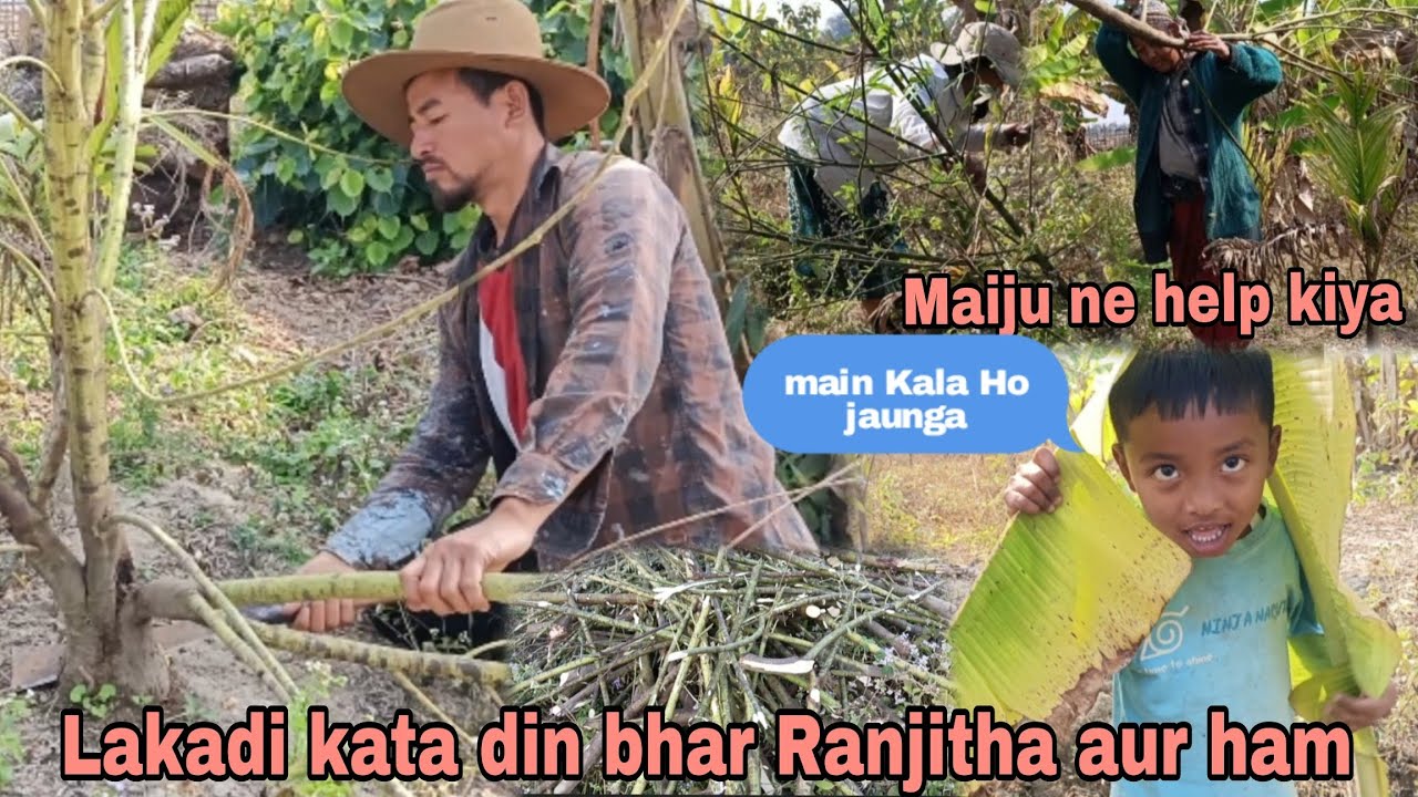 Lakadi kata din bhar Ranjita aur ham//Maiju ne help kiya Lakadi Bukne me