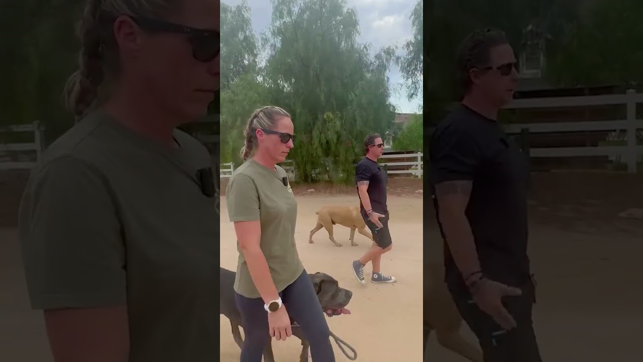 This dog ATTACKED HIS MOM, but she never gave up...