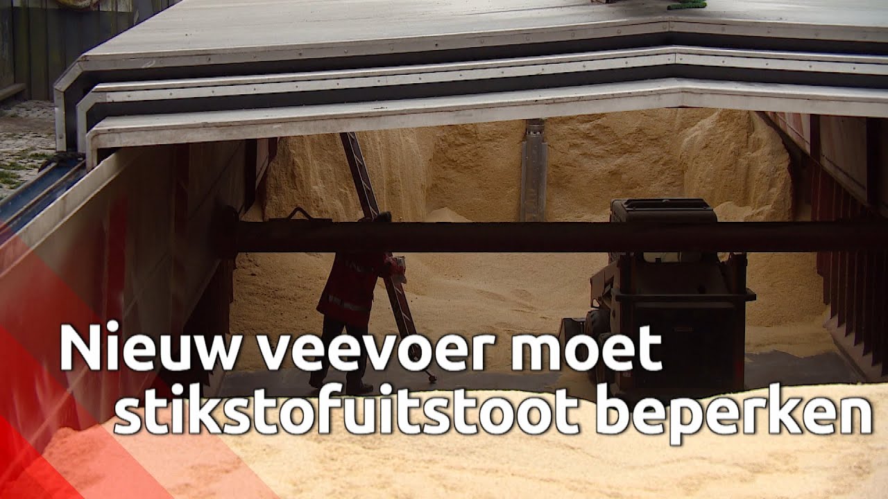Met 'stikstof-light' veevoer kunnen boeren hun uitstoot verlagen, maar wie zet de eerste stap?