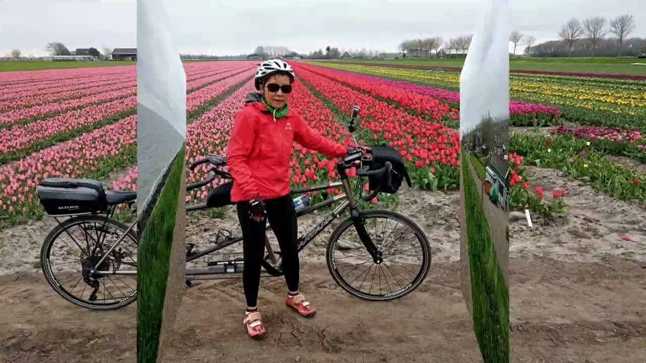 Cycling Noord Holland Day 7, Hensbroek to the east, Andijk.