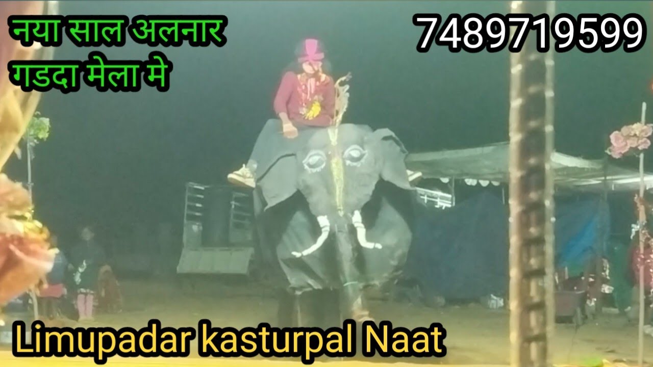 नया साल अलनार गडदा मेला मे लिमुपदर कस्तुरपाल नाट !! Bastar naat  limupadar kasturpal naat 