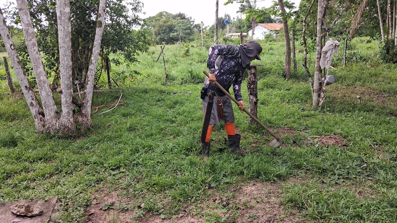 PREPARANDO COMPOSTAGEM! 