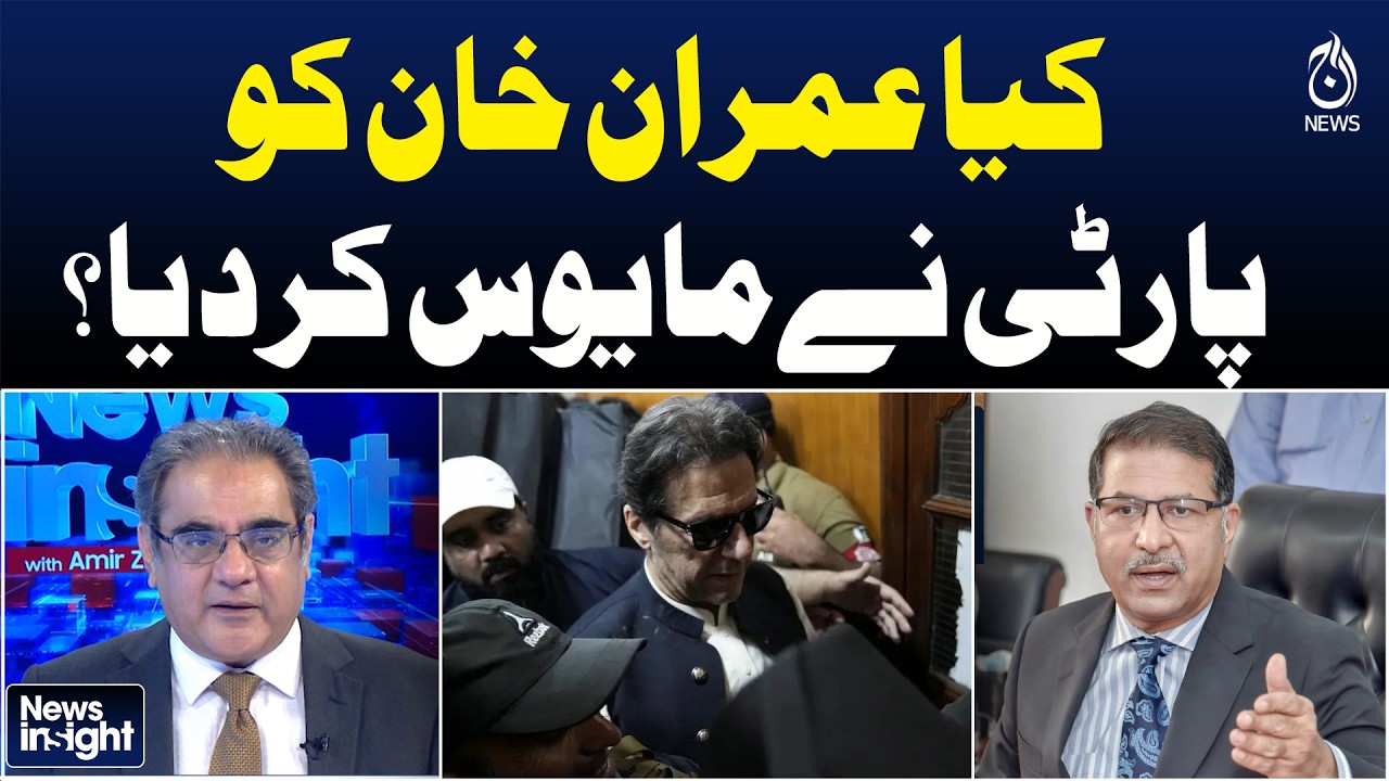 Barrister Ali Zafar Exclusive | PTI Leadership Controversy | Imran Khan Concerns - News Insight