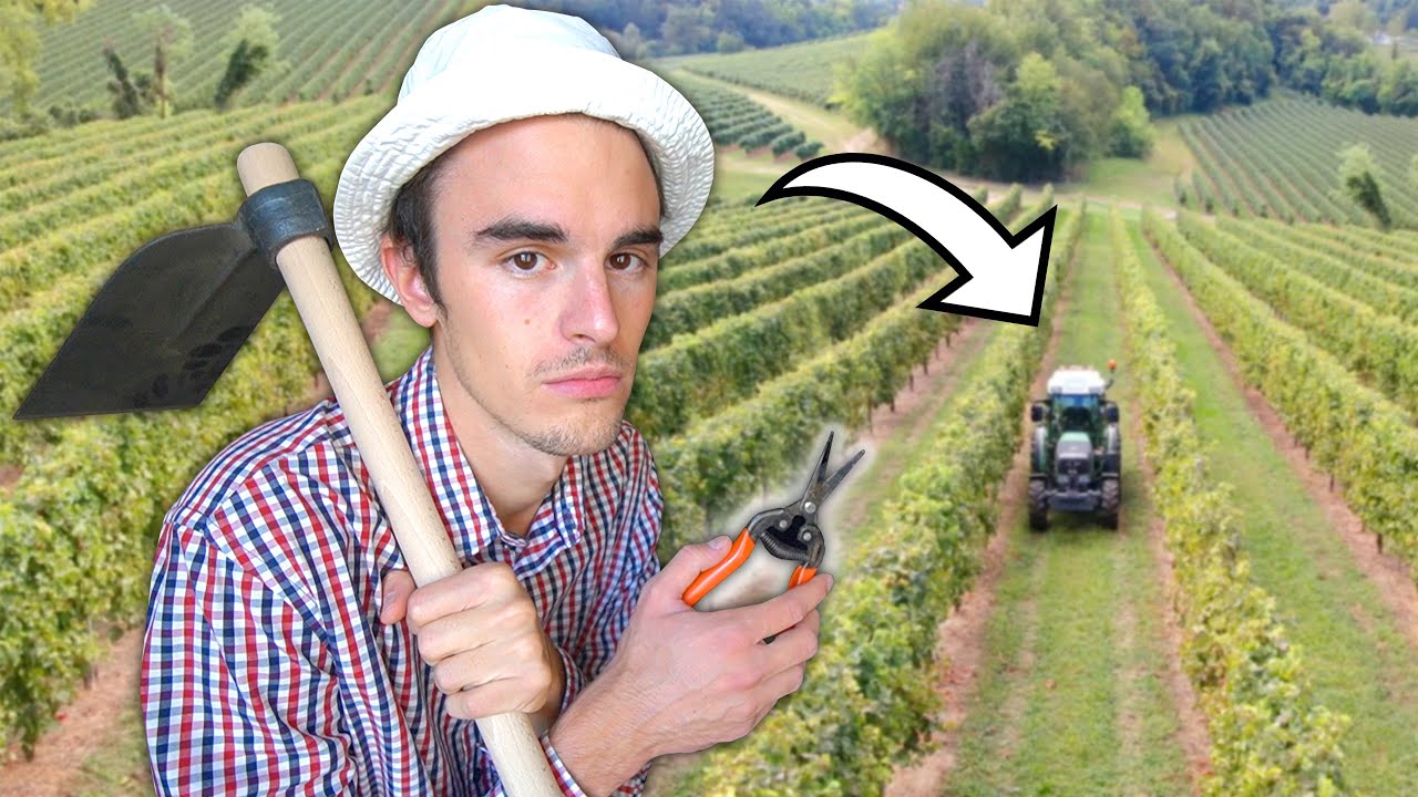 UN GIORNO da CONTADINO! 🚜🌾