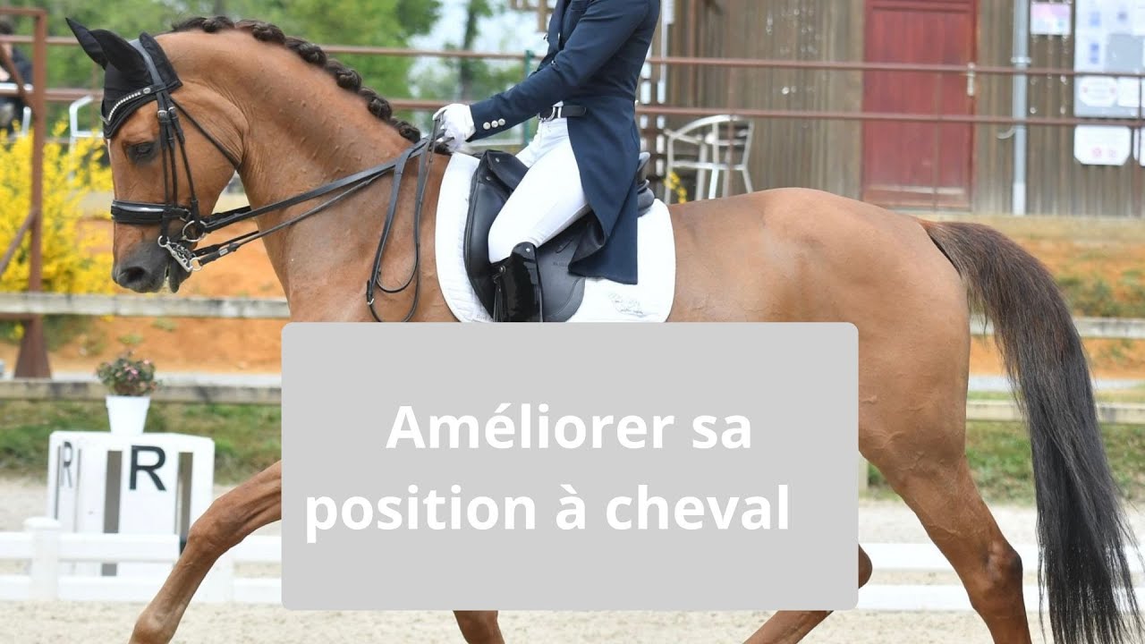 Améliorer sa position à cheval